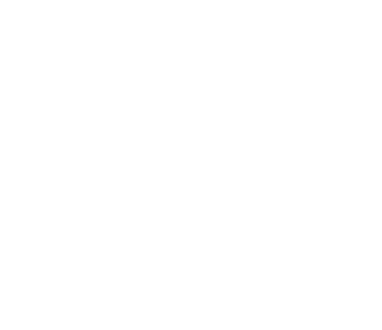 GVI